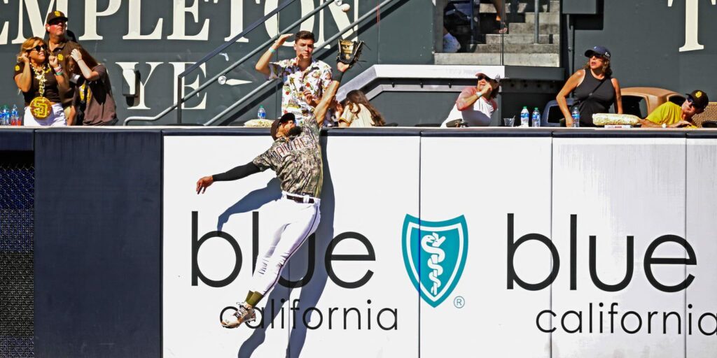 Fernando Tatis Jr. Started Practicing Home Run Robberies at Just 10 Years Old – sandiego365.info