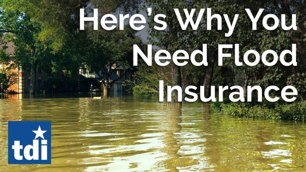 Texans Face Losing Flood Insurance Without Congressional Spending Deal: What You Need to Know – houston365.info