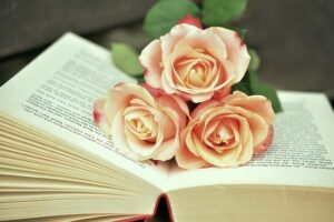 Unlock the Secrets to Wealth: Dive into “The Psychology of Money” with Our Book Club! – phoenix365.info