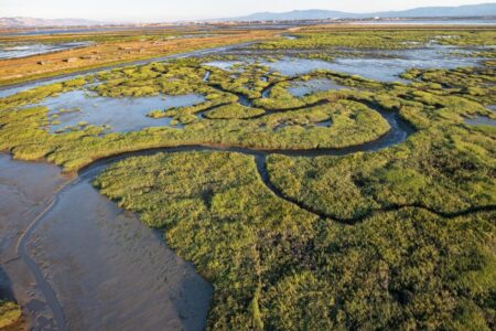 How Seasonal Shifts Transform Erosion and Accretion in a San Francisco Bay Marsh – sanfrancisco365.info