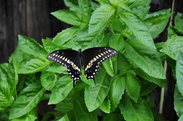 How Europe and Africa can unlock tech opportunities through stronger collaboration – The World Economic Forum – afric.news