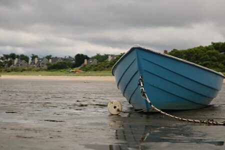 Today in Africa — November 21, 2025: Another School Kidnapping in Nigeria as President Bola Tinubu Suspends Foreign Trips, South African Women Stage Lie-Down Protest as President Declares GBVF a National Crisis, ISIS-Affiliated Rebels Kill 89 in East – Ok – afric.news