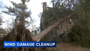 Strong Winds Expected Wednesday Evening in Philadelphia Area May Cause Power Outages: Weather Forecast – philadelphia365.info