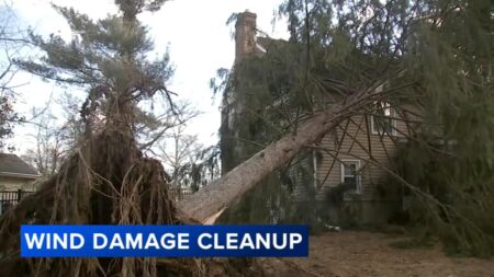 Strong Winds Expected Wednesday Evening in Philadelphia Area May Cause Power Outages: Weather Forecast – philadelphia365.info