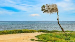 When Governors Collide: Abbott and Newsom Face Off in Houston – houston365.info