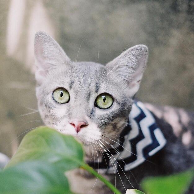 ICE Demands San Francisco Sheriff Surrender List of Undocumented Immigrants in Jails – sanfrancisco365.info