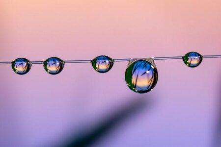 Marco Rubio’s Bold Gamble on Nevada, the State That Shaped His Childhood – las-vegas365.info