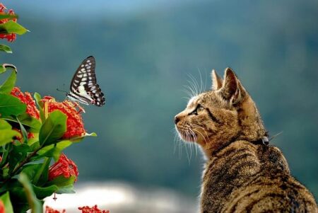 Yu Darvish Sends a Powerful Message to Dodgers’ Yoshinobu Yamamoto After Epic World Series Clash – sandiego365.info