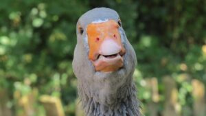 30-Hour Luxury Overnight Train Journey in the US – newyork365.info