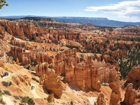 U.S. Government Shuts Down After Trump and Congress Fail to Reach Funding Deal – washington365.info