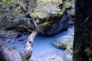 Rob McCoy: The Influential Pastor Energized for Four More Years of Trump – phoenix365.info