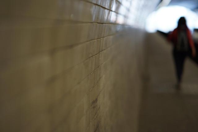 Mom’s Rental Car Records Help Catch Notorious Repeat Offender in Violent Attack on 71-Year-Old Man in Bellaire – houston365.info