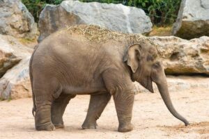 Chester County Extends Voting Hours After Third-Party Voters Were Initially Omitted – philadelphia365.info