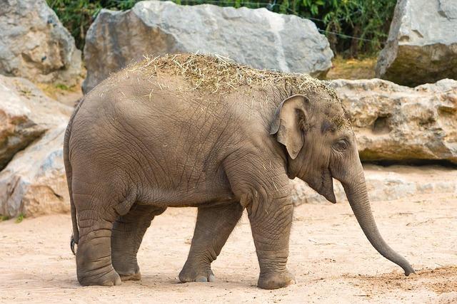 Chester County Extends Voting Hours After Third-Party Voters Were Initially Omitted – philadelphia365.info