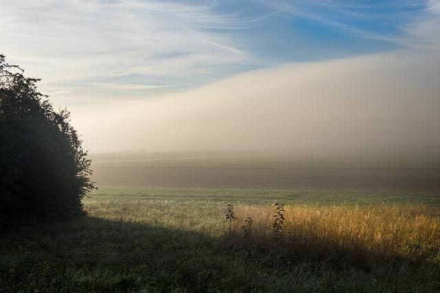 Nick Reiner Murder Charges | Rob Reiner’s Son Faces Life Sentence Risk – losangeles365.info