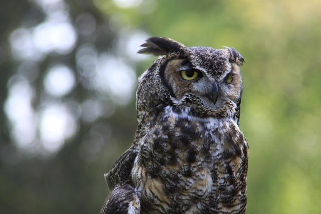 Volcanoes Are Stirring Across the US – What Does That Mean for Washington? – washington365.info