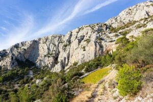 Is Nikola Jokic Playing Today? Major Injury Update on the Nuggets Star – news-usa.info