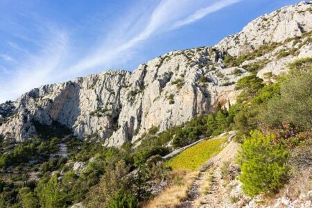 Is Nikola Jokic Playing Today? Major Injury Update on the Nuggets Star – news-usa.info