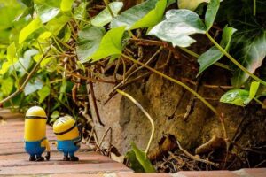 Kevin Durant Out of Action for Suns vs. Rockets Showdown – phoenix365.info