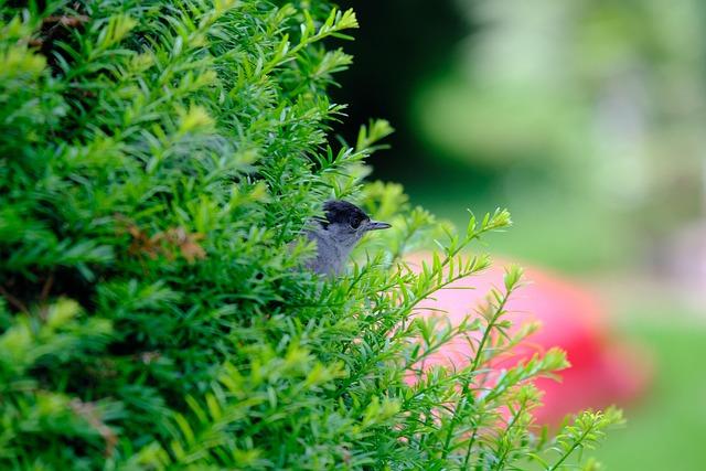 Redistricting Sparks Fierce Battle for Sylvia Garcia’s Political Future – houston365.info