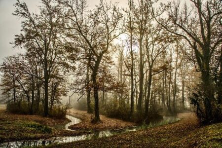 Visibility Clears After Foggy Morning Commute in Philadelphia Region: Here’s the Weather Forecast – philadelphia365.info