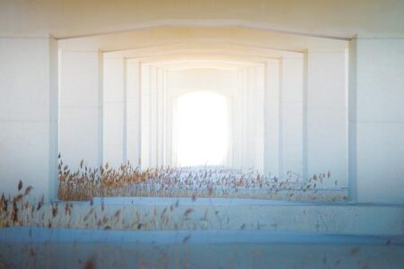 2024: The Year We Go Deeper Underground with Tunnels – las-vegas365.info