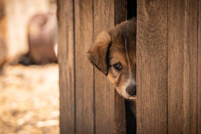 France Set to Approve Budget as Premier Survives Ouster Vote in Dramatic Political Victory – news-france.info