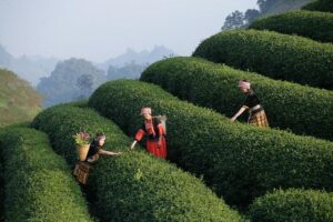 Unlock the Secrets of Politeness and Find the Best Parties: Tours That Transform Your Travel Experience in France – news-france.info