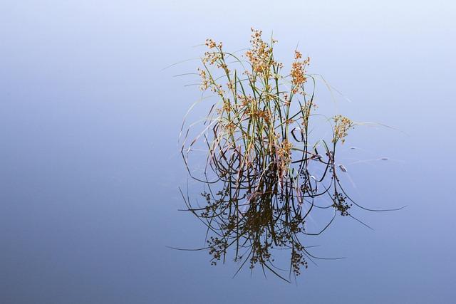 Several water main breaks in Philly on Sunday cause concerns over icy roads – NBC10 Philadelphia – philadelphia365.info