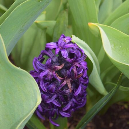 Uncover Avignon’s Best-Kept Secrets: Must-See Hidden Gems You’ll Love – news-france.info