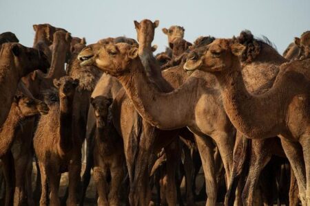 Urgent Update: Major Developments Unfold in the Middle East Conflict – www.mondialnews.com