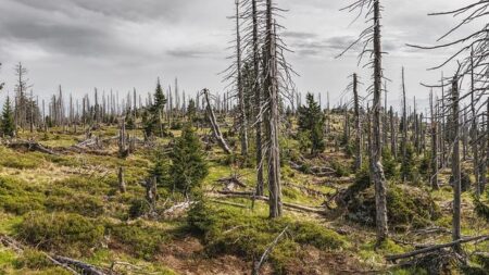 Environmental Lawsuits Threaten $2.8 Billion Brazilian Mining Projects – www.mondialnews.com