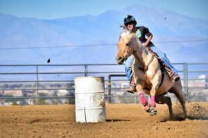 Teenage Girl Arrested for Stabbing Horses at Las Vegas Barrel Racing Event – las-vegas365.info