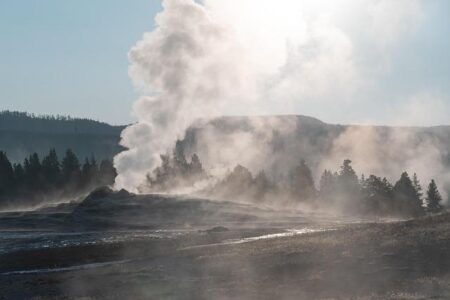 50 Nifty Finds #15: Exploring the Art of Politics in America’s National Parks – sanfrancisco365.info