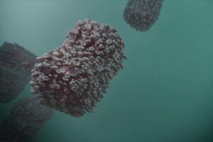 Oropouche Virus Outbreak Explodes: More Than Five Million Infected Across Brazil – www.mondialnews.com
